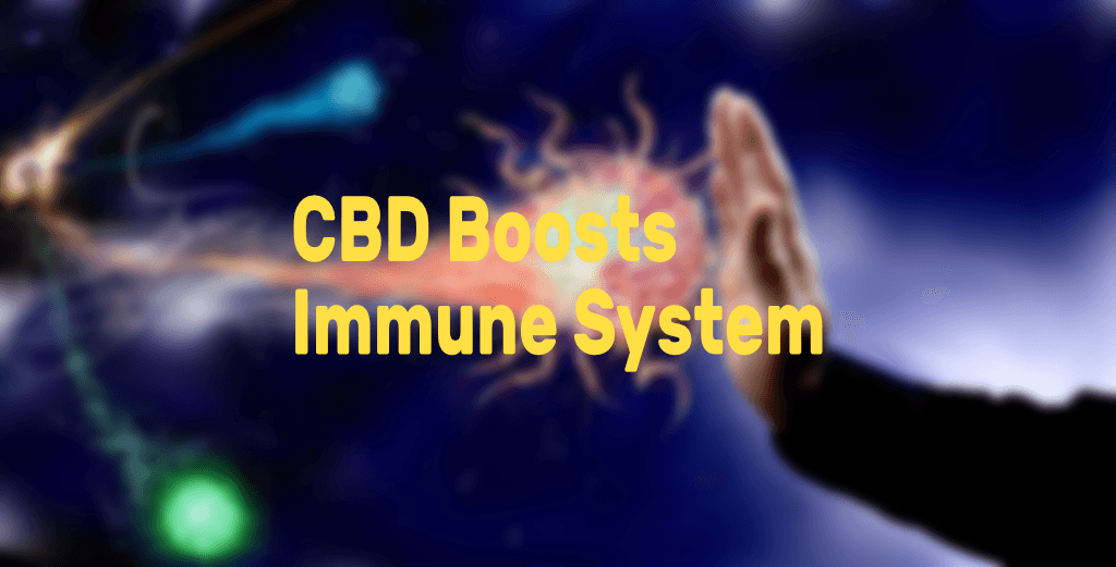 cbd boost immune system